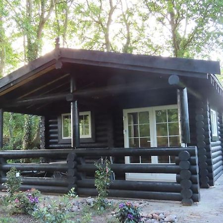 Villa Knusse En Gezellige Blokhut De Bijenstal Dedemsvaart Exterior foto